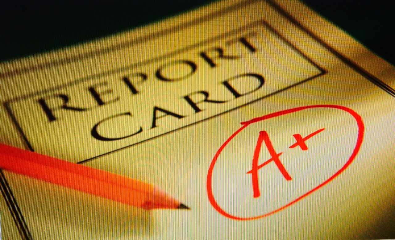 Unpacking the school report card