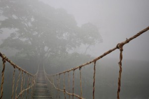 coming out of the parent fog photo