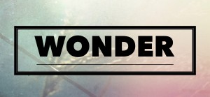 Thrive wonder